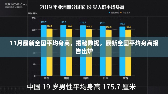 全国最新平均身高数据揭秘，最新报告出炉，了解你的身高在全国的排名