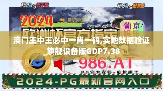 澳门王中王必中一肖一码,实地数据验证_旗舰设备版GDP7.38