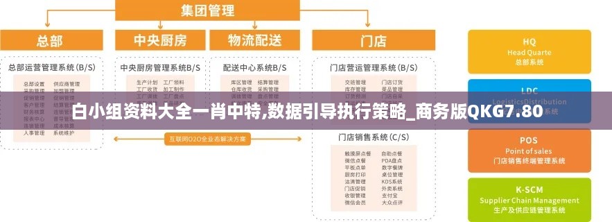 白小组资料大全一肖中特,数据引导执行策略_商务版QKG7.80