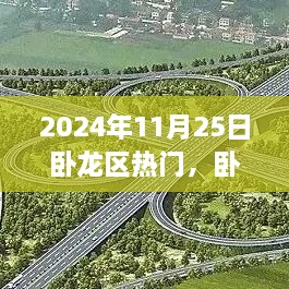 探寻卧龙区热门活动日，2024年11月25日精彩亮点揭秘