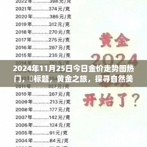 黄金之旅，探寻自然美景下的金价走势与心灵宁静之旅（最新更新日期，2024年11月25日）