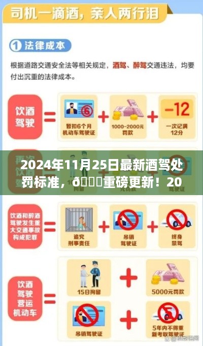 2024年酒驾新罚则重磅更新，最新酒驾处罚标准你必须知道！