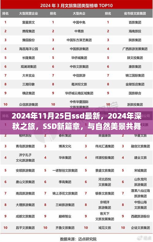 2024深秋之旅，探索SSD新篇章，与自然美景共舞寻内心宁静