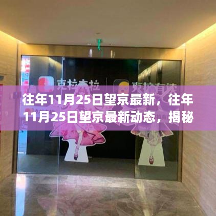 揭秘，望京科技热土的变迁与发展——历年11月25日最新动态观察