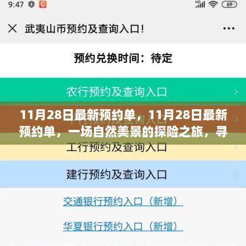 11月28日最新预约单，自然美景探险之旅，寻找心灵宁静与平和的旅程