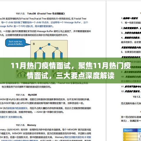 11月热门疫情面试，聚焦11月热门疫情面试，三大要点深度解读