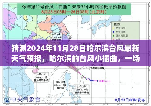 哈尔滨台风小插曲，友情与陪伴的天气预报趣事（预测至2024年11月28日）