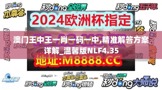 澳门王中王一肖一码一中,精准解答方案详解_温馨版NLF4.35