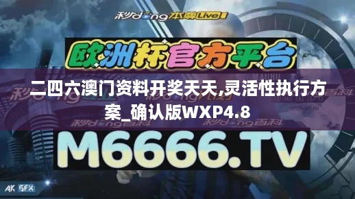 二四六澳门资料开奖天天,灵活性执行方案_确认版WXP4.8