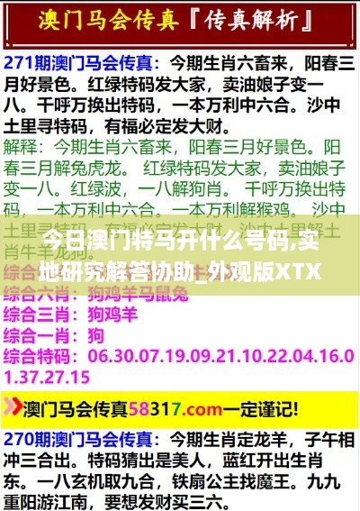 今日澳门特马开什么号码,实地研究解答协助_外观版XTX4.38