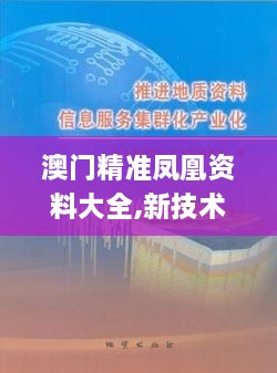 澳门精准凤凰资料大全,新技术推动方略_专属版LMV8.81