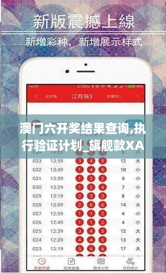 澳门六开奖结果查询,执行验证计划_旗舰款XAP8.53