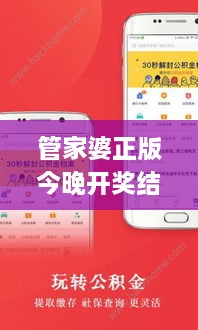 管家婆正版今晚开奖结果,高效执行方案_艺术版SNB8.60