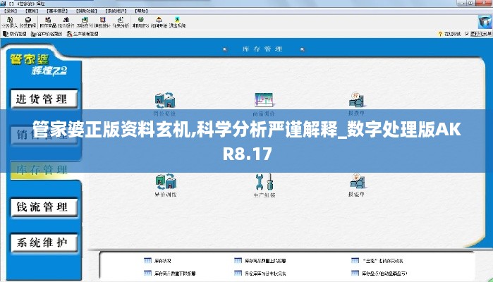 管家婆正版资料玄机,科学分析严谨解释_数字处理版AKR8.17