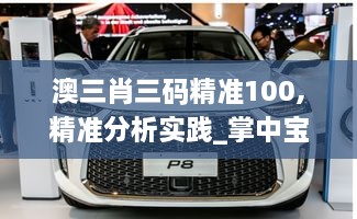 澳三肖三码精准100,精准分析实践_掌中宝WEY8.2