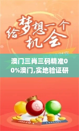 澳门三肖三码精准00%澳门,实地验证研究方案_云端版KKC8.98