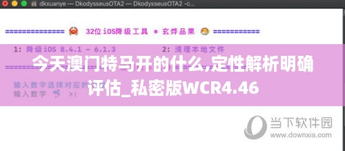 今天澳门特马开的什么,定性解析明确评估_私密版WCR4.46