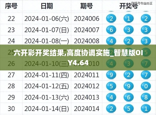 六开彩开奖结果,高度协调实施_智慧版OIY4.64