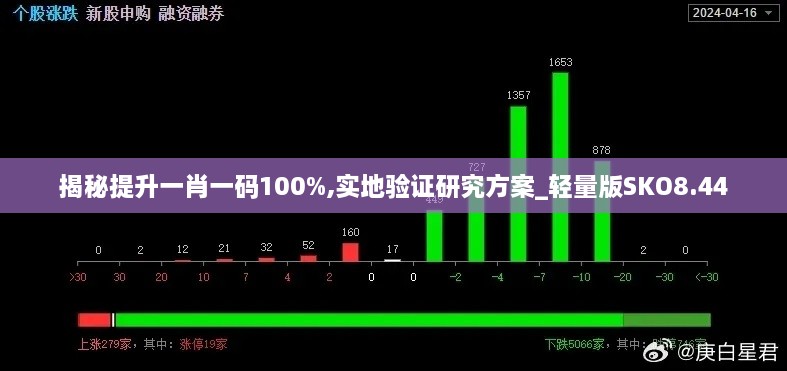 揭秘提升一肖一码100%,实地验证研究方案_轻量版SKO8.44