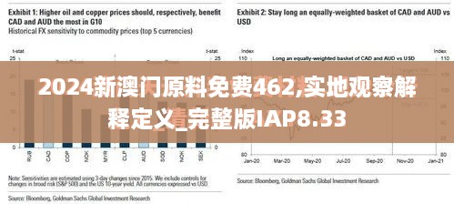 2024新澳门原料免费462,实地观察解释定义_完整版IAP8.33