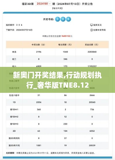 新奥门开奖结果,行动规划执行_奢华版TNE8.12