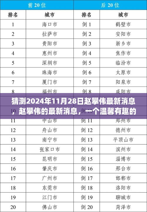 赵攀伟最新消息揭秘，温馨有趣的日常故事，2024年11月28日更新