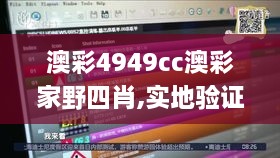 澳彩4949cc澳彩家野四肖,实地验证实施_SE版IJP4.40