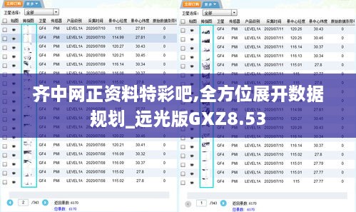 齐中网正资料特彩吧,全方位展开数据规划_远光版GXZ8.53