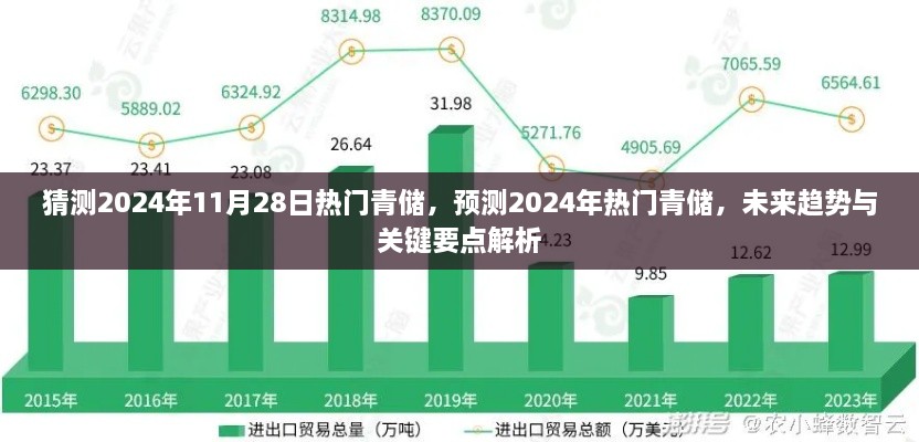 2024年青储热门预测与未来趋势解析，关键要点及趋势展望