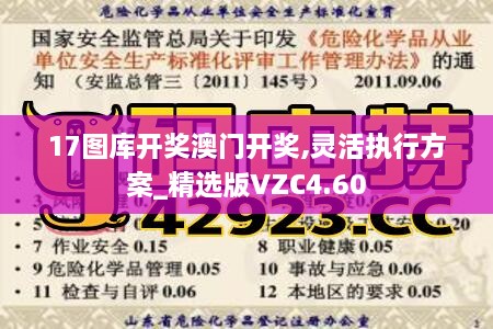 17图库开奖澳门开奖,灵活执行方案_精选版VZC4.60