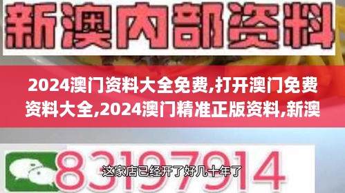 2024澳门资料大全免费,打开澳门免费资料大全,2024澳门精准正版资料,新澳门资,精细化实施分析_全景版AVE8.59