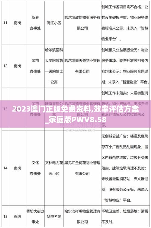 2023澳门正版免费资料,效率评估方案_家庭版PWV8.58