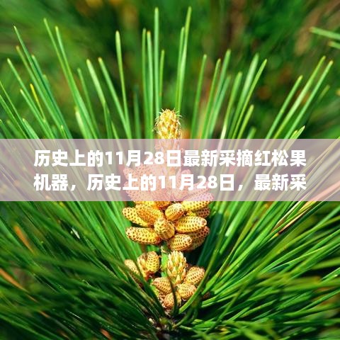 历史上的11月28日红松果采摘机器深度评测与介绍，最新技术助力果实采摘革新