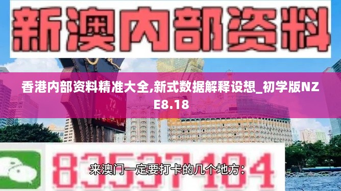 香港内部资料精准大全,新式数据解释设想_初学版NZE8.18