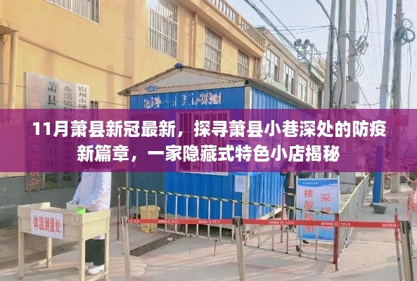 萧县小巷深处的防疫新篇章，特色小店揭秘与新冠疫情最新动态