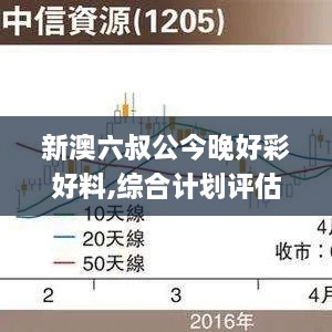 新澳六叔公今晚好彩好料,综合计划评估_职业版NSD4.53