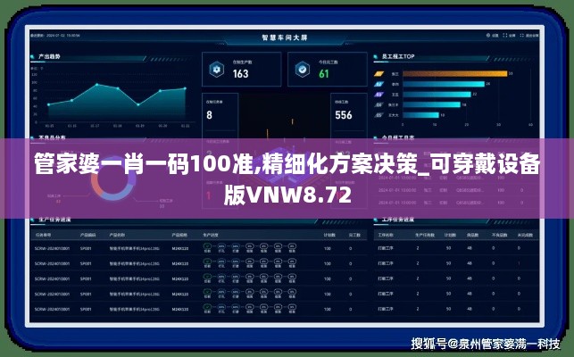 管家婆一肖一码100准,精细化方案决策_可穿戴设备版VNW8.72