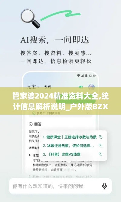 管家婆2024精准资料大全,统计信息解析说明_户外版BZX8.8