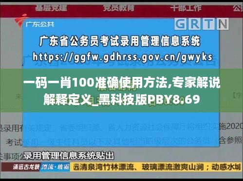 一码一肖100准确使用方法,专家解说解释定义_黑科技版PBY8.69