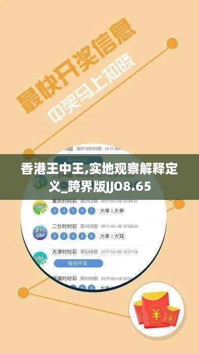 香港王中王,实地观察解释定义_跨界版JJO8.65