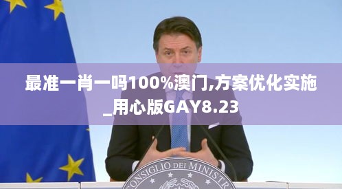 最准一肖一吗100%澳门,方案优化实施_用心版GAY8.23