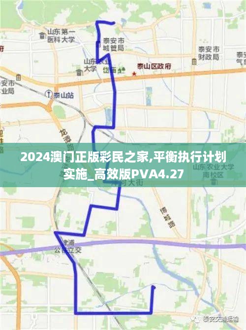 2024澳门正版彩民之家,平衡执行计划实施_高效版PVA4.27