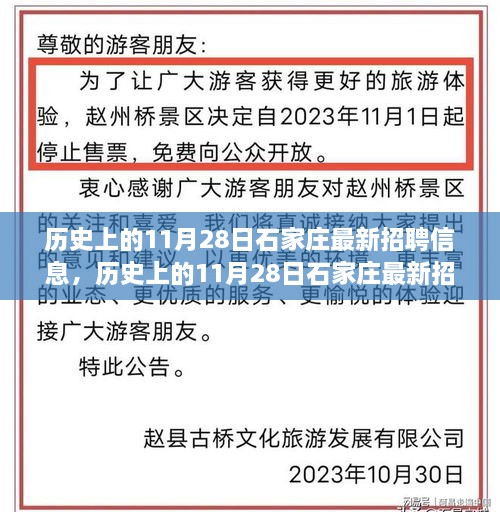 历史上的石家庄最新招聘信息深度解析，聚焦11月28日数据揭秘职场机遇与挑战