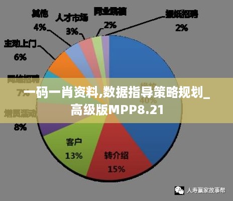 一码一肖资料,数据指导策略规划_高级版MPP8.21