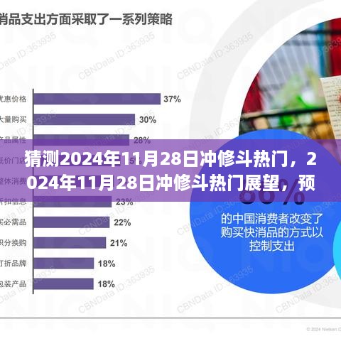 2024年11月28日冲修斗热门展望，预测与观点分析