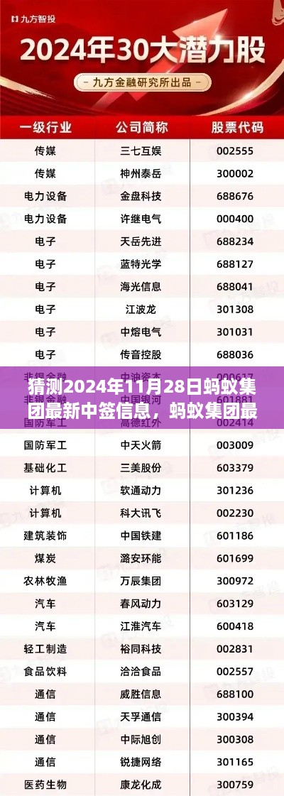 2024年11月28日蚂蚁集团最新中签信息预测，机遇与挑战并存