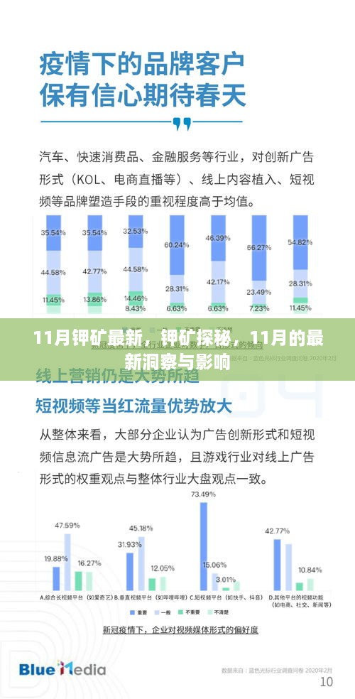 11月钾矿最新探秘与洞察，影响及展望