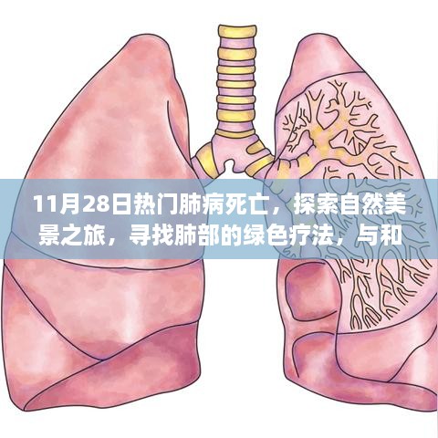 肺病危机下的自然探索，寻找绿色疗法与心灵和平之旅