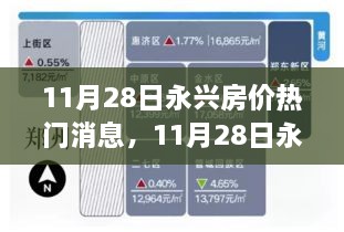 11月28日永兴房价最新动态与热门消息全解析