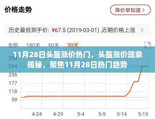 揭秘头盔涨价现象，聚焦11月28日热门趋势热议